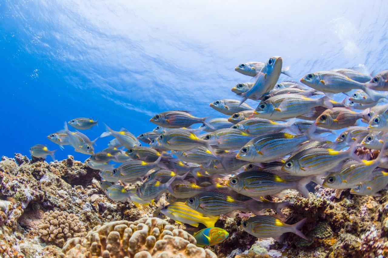 Aparthotel Ecot Shimozato 1 Miyakojima  Esterno foto